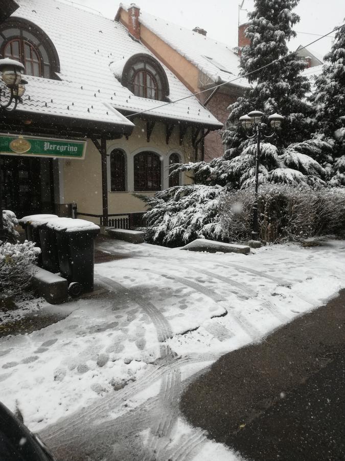 Peregrino Panzio Bed and Breakfast Budaörs Εξωτερικό φωτογραφία